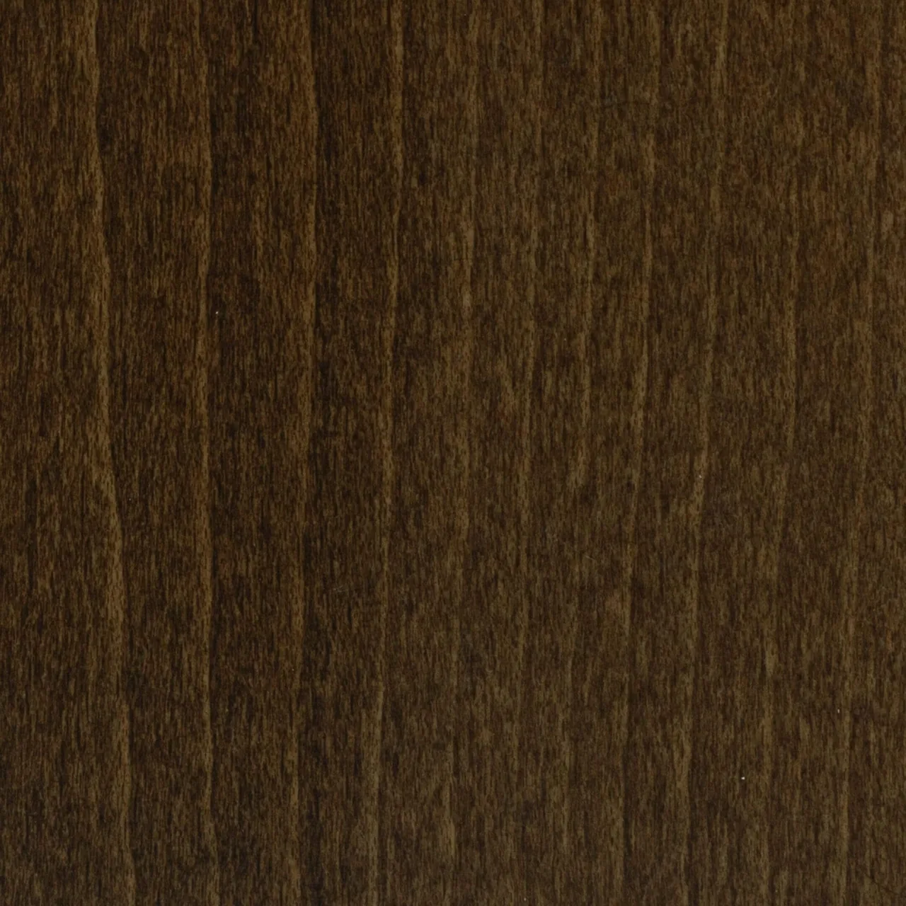 Beech - Bailey